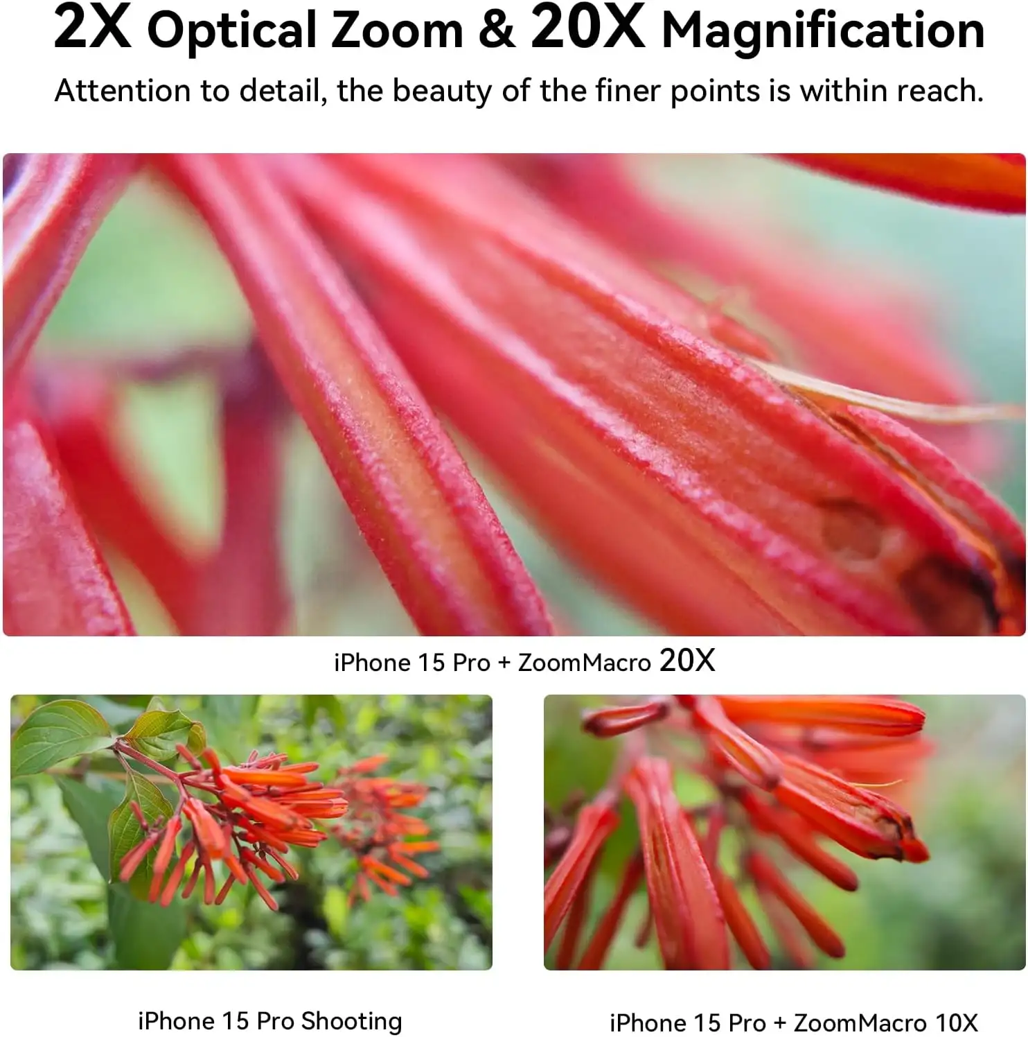 Evil eye Zoom Macro Lens Kit for Smartphone, 10-20X Macro Phone Lens with Universal Lens Clip - 71wZ7tfNTPL._AC_SL1500_